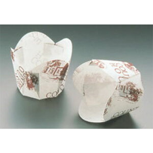 `[bvJbv(100) M-304 50yƖpzyJbvzyP[LJbvz