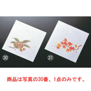  j[lG 5(100)NS-13 yVԓzy~zyopz