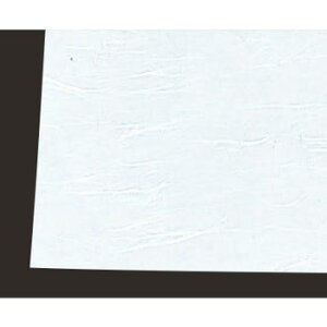 ڎO ΂܂ RۉԘa(100)WSA-02 ny~}bgzyΗz