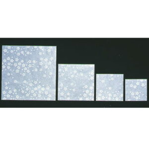 NA~ (100)CS-450 uayopzy~z