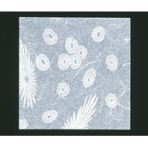 NA~ ԕ(200)HG-200 uayopzy~z