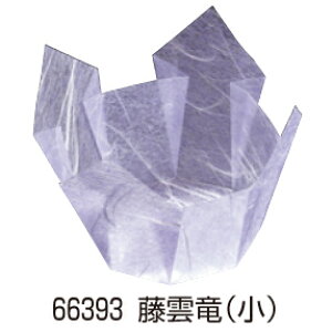 OP () 200 66393 _yopizyozyzyJbvzyP[XzyƖpz