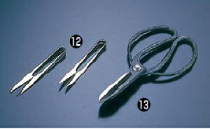 ߐ؂ oT~yٗpi ٓzy؂͂݁zyƖpz