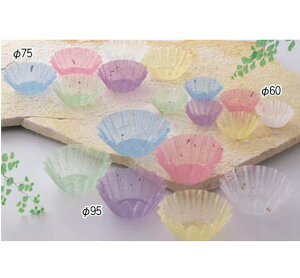 OJbv  (500) M33-556 (a40)yopizyozyzyJbvzyP[XzyƖpz