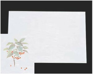 ԍRۘa 3܂(100)  WS-6y~zyȎzyȃ}bgzyƖpz