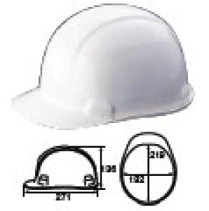 X~nbg(wbg) SA1-B yƖpz