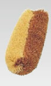 n[tEn[h^V (10) y| |zy킵zyT̎q킵zyꗎƂzyƖpz