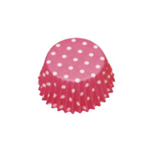 ybgJbv(|JhbgsN)PTC05030(300)yƖpzyJbvzyP[LJbvz