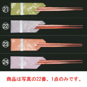 V ԏ(100)KO-Z02 Ԓye[uEFAzyLb`pizyHՕizyz