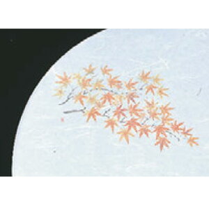 ڎO ΂܂ RۉԘa(100)WH-13݂y~}bgzyΗz