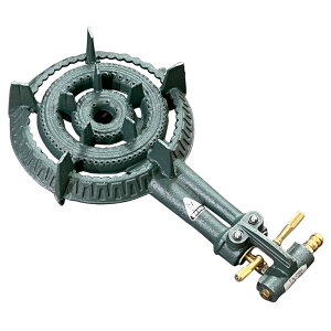 R dHtR TS-210Hp o[i[i(KXFvp) LPj