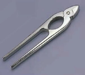 Vp{gI[vi[ No.19y𔲂zy{gI[vi[zyƖpz