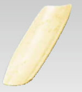 y[֔z\zЂ̂n ڂyڂuzyڂMzyƖpz