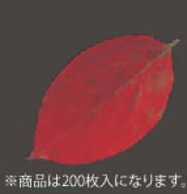 型抜きクリアシート(200枚入) 65369 柿の葉【業務用】