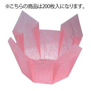  OP (100) 66402 g~_ytMzyOJbvzyƖpz