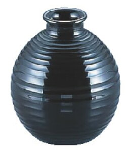 NE~ 1lp 48021310yopizy`zyzyƖpz