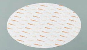 ققV[g(500)yЂzyџCzyƖpz