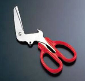 y[֔z\zGRׂ TCNnT~yscissorszyzyƖpz