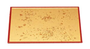 ~ F/h 4y~zyȖ~zyΖ~zyaH~zy~VzyV~zy-57-19z