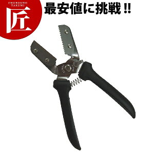 V^IViւnj yctssz I ނ 甍 aނ Iނ I