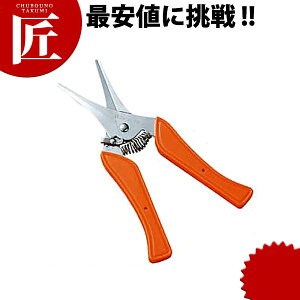 XeX ֗nT~ yctaaz Lb`΂ Lb`oT~ Lb`͂ Lb`nT~ ͂ nT~  Ɩp