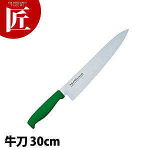 TO J[  30cm O[ yctssz  m  Ɩp XeX Ɩp { mH t` C^A ze Xg