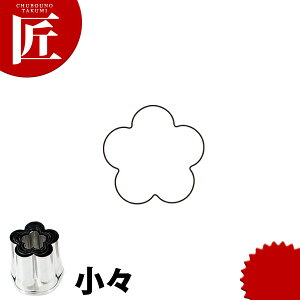 ̖ؔ^ ~ Xyctsszؔ^ Ɩpؔ^ ^ ٓ  Ɩp ~  E 