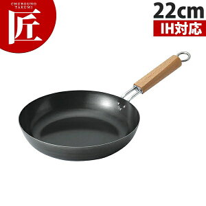 S̃tCp 22cm yctsszIHΉ