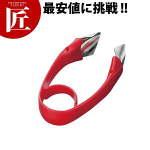 txW sR(w^) FV-601yctaaz