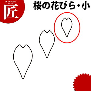 ̐ ^ ̉Ԃт  #1yctssz ؔ^ Ɩpؔ^ ^ ٓ  Ɩp  TN  