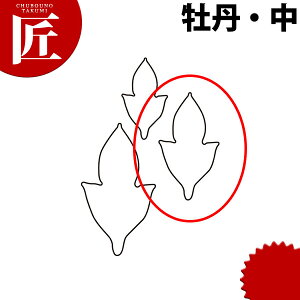 ̐ ^ O  #2yctaaz ؔ^ Ɩpؔ^ ^ ٓ  Ɩp O {^ 