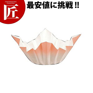 Fa FSKA-144(250) yctaaz   Ȃ   Ɩp