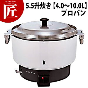 �����i�C �K�X���ъ� RR-550C 5.5������ �y4.0�`10.0L�z �v���p���K�X (LP�K�X) �yctssa�z �Ɩ��p���ъ� �K�X���ъ� ���ъ� �z�e�� ���X�g���� ���H�X ���H �H�� ���h �H�ו��� �Ɩ��p ��������