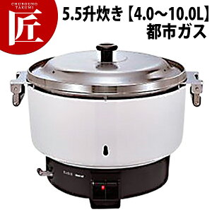 �����i�C �K�X���ъ� RR-550C 5.5������ �y4.0�`10.0L�z �s�s�K�X (12�E13A) �yctss�z �Ɩ��p���ъ� �K�X���ъ� ���ъ� �z�e�� ���X�g���� ���H�X ���H �H�� ���h �H�ו��� �Ɩ��p