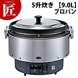 iC KXъ ܂ǐ RR-S500G2 5 y9.0Lz vpKX (LPKX) yctssz Ɩpъ KXъ ъ ze Xg HX H H h Ɩp