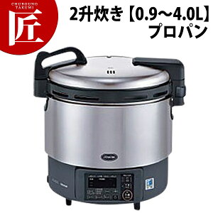 iC KXъ ܂ǐ RR-S200GV2 2 y0.9`4.0Lz vpKX (LPKX) yctssz Ɩpъ KXъ ъ ze Xg HX H H h Ɩp