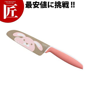 FC-791 ǂp O[f 105mm  sNyctaaz q ǂ qǂ H XeX Ɩp