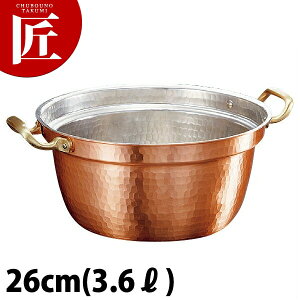 VȊ퓺 it 26cm yctaaz  it it ϕ ł  J[ V`[  Ɩp