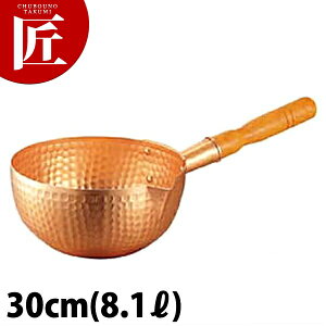  {[Y 30cm (8.1L) yctsszЎ ᕽ s  