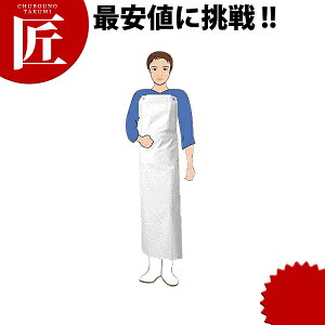 �I�J���g �j���[�����^�b�`�yctaa�z�G�v���� ���t [780M] �yctaa�z�G�v���� �O�|�� �~�[�p ���r �|�������r�j�[�� �Ɩ��p