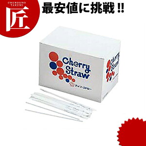 Xg[ i500j ܓ yctsszƖp Xg[ hN