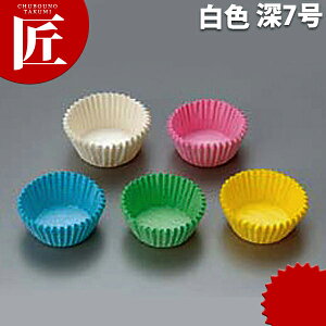 Zp[g J[OV Jbv 1000 F 7 [ yctsszƖp ٓJbv Jbv P[X [^ ٓObY