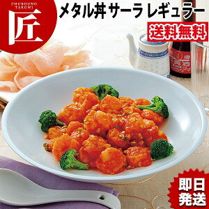 カンダ メタル丼 サーラ レギュラー 30cm 塗装仕様 青磁 18-8ステンレス製 究極のラーメン丼 保温 保冷 燕三条 日本製 メタル丼 大皿 ラーメン丼 ラーメンどんぶり どんぶり ラーメン鉢 ステン