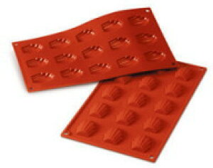 NpP VR}[g VRtbNX ~j}h[ki15jSF031