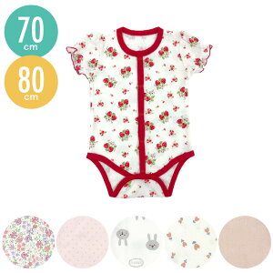 P5{11/1 24h _tDAY p[X ̎q  100 Rbg t  H ~  OJ xr[ xr[  Ԃ pX {fB {fBI[ {fBX[c  킢  