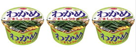 【3個セット】エースコック わかめラーメン ごま・しょうゆ 4901071215583