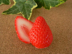 HiTv ObY C`S Jbg 4.2cm 21Zbg t[c ʕ y[200~\z