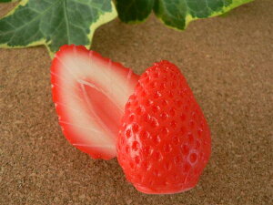 HiTv ObY C`S Jbg 3.8cm 21Zbg t[c ʕ y[200~\z