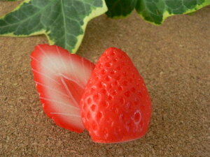 HiTv ObY C`S Jbg 3.5cm 21Zbg t[c ʕ y[200~\z