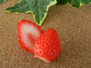HiTv ObY C`S Jbg 3.0cm 21Zbg t[c ʕ y[200~\z